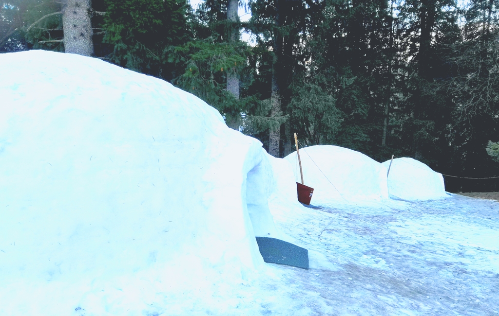 Read more about the article Igloo Stays Manali | Himachal Pradesh